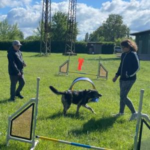 agility-ii.jpg