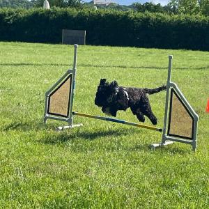agility-v.jpg